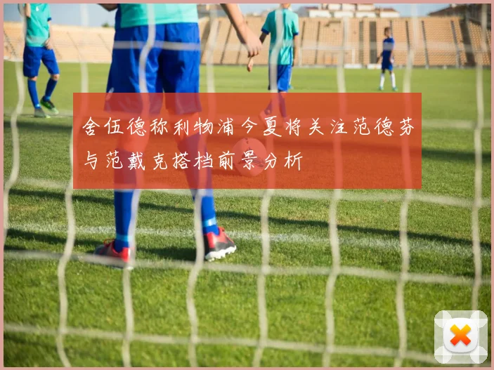 舍伍德称利物浦今夏将关注范德芬与范戴克搭档前景分析